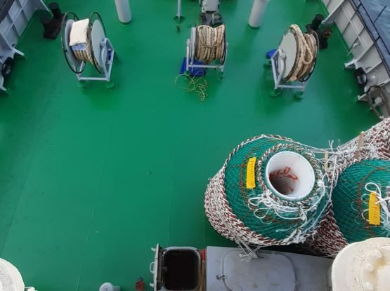 Полная замена и окраска палубы бака судна типа СТР-503